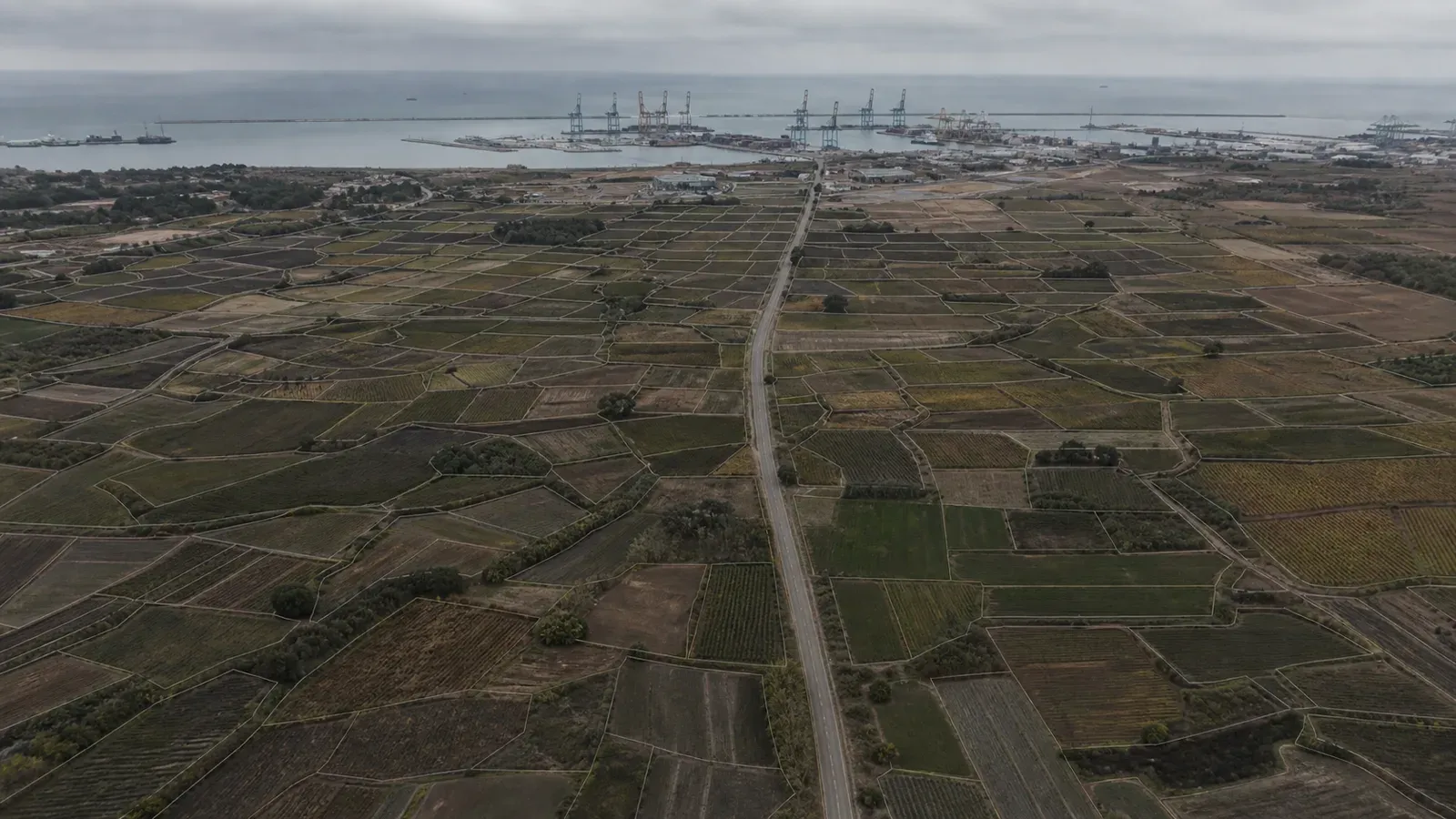 Hundreds of small farm plots traced as boundaries and gathered along a single route toward a European port